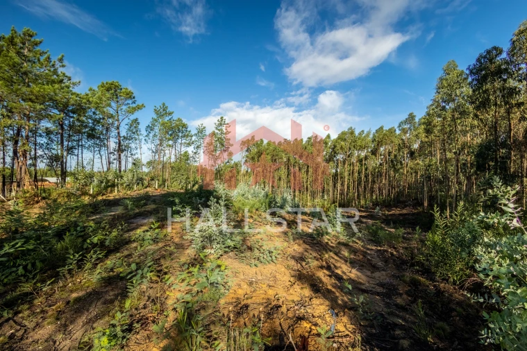Terreno para Venda em Leiria, Pousos, Barreira e Cortes Foto 15