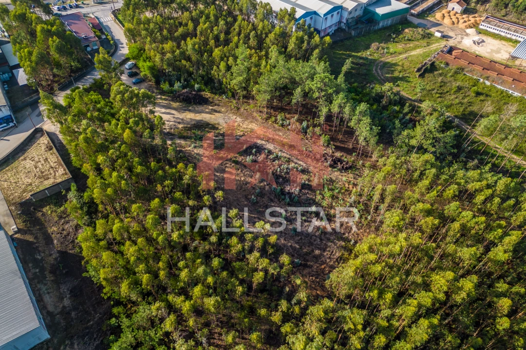 Terreno para Venda em Leiria, Pousos, Barreira e Cortes Foto 6