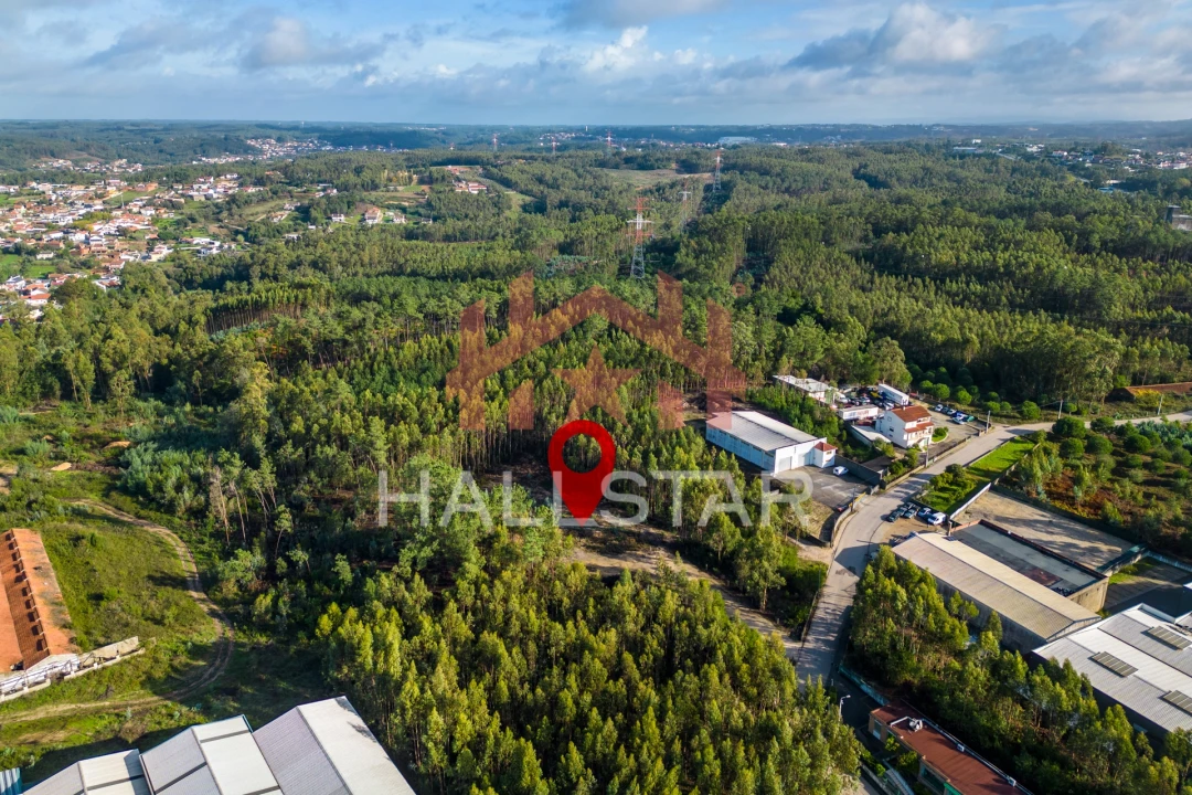 Terreno para Venda em Leiria, Pousos, Barreira e Cortes Foto 27