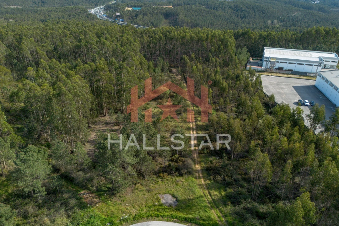Terreno para Venda em Marrazes e Barosa Foto 19