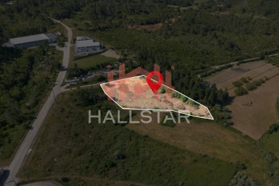 Terreno Comércio / Armazém para Venda em Assafarge e Antanhol