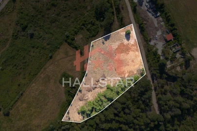 Terreno Comércio / Armazém para Venda em Assafarge e Antanhol