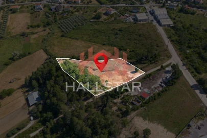 Terreno Comércio / Armazém para Venda em Assafarge e Antanhol