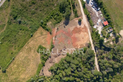 Terreno Comércio / Armazém para Venda em Assafarge e Antanhol