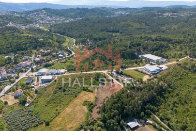 Terreno Comércio / Armazém para Venda em Assafarge e Antanhol