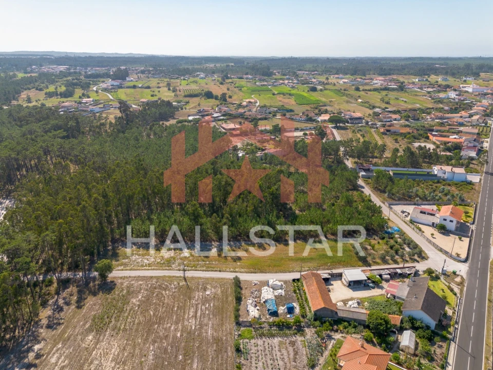 Terreno para Venda em Monte Redondo e Carreira Foto 5