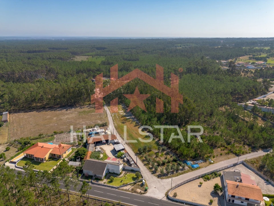 Terreno para Venda em Monte Redondo e Carreira Foto 12
