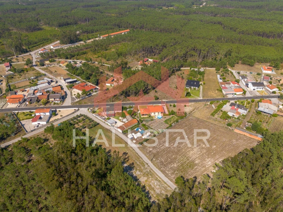 Terreno para Venda em Monte Redondo e Carreira Foto 20