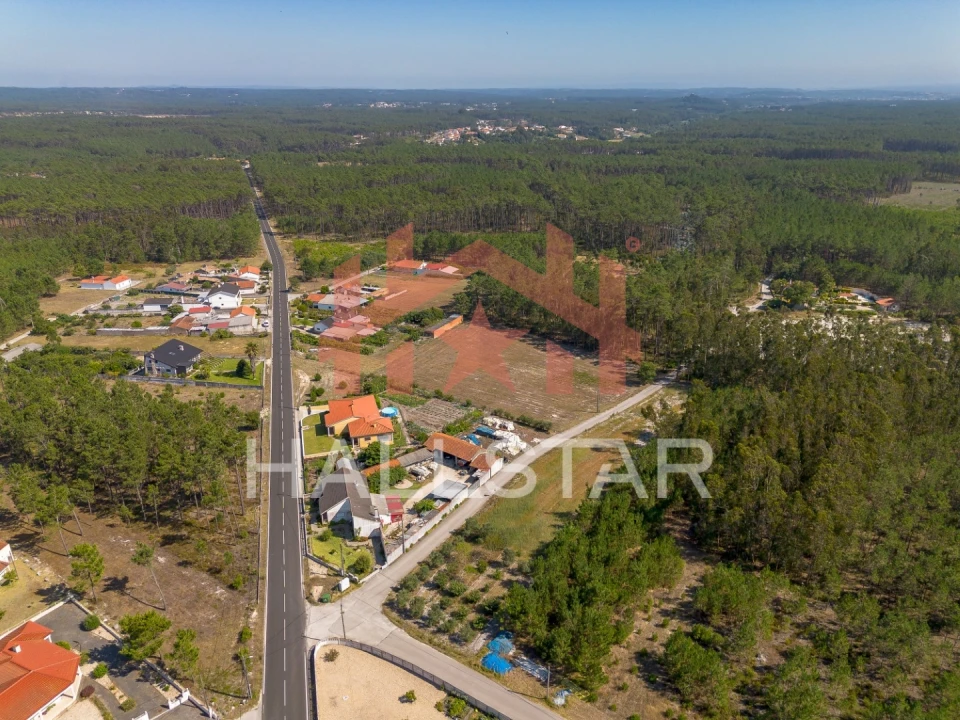Terreno para Venda em Monte Redondo e Carreira Foto 17
