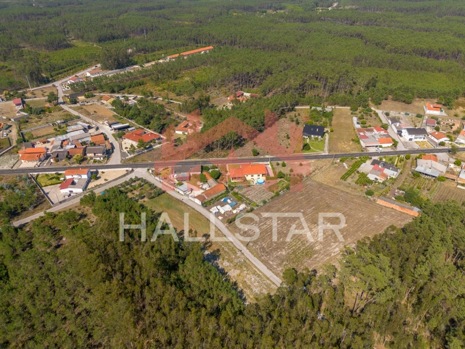 Terreno para Venda em Monte Redondo e Carreira Foto 21