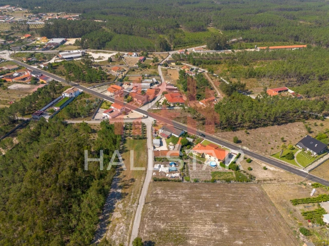 Terreno para Venda em Monte Redondo e Carreira Foto 22