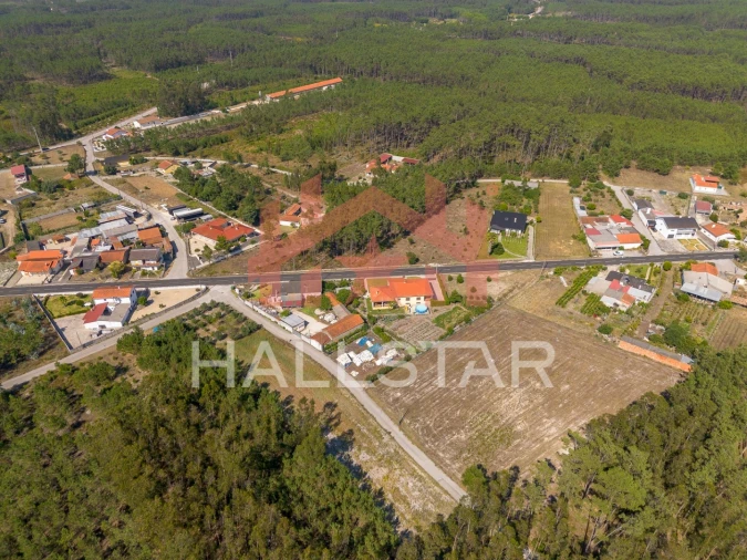Terreno para Venda em Monte Redondo e Carreira Foto 20