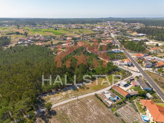 Terreno para Venda em Monte Redondo e Carreira Foto 4