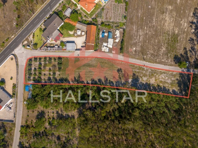 Terreno para Venda em Monte Redondo e Carreira Foto 2