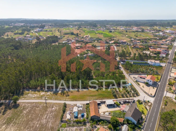 Terreno para Venda em Monte Redondo e Carreira Foto 6