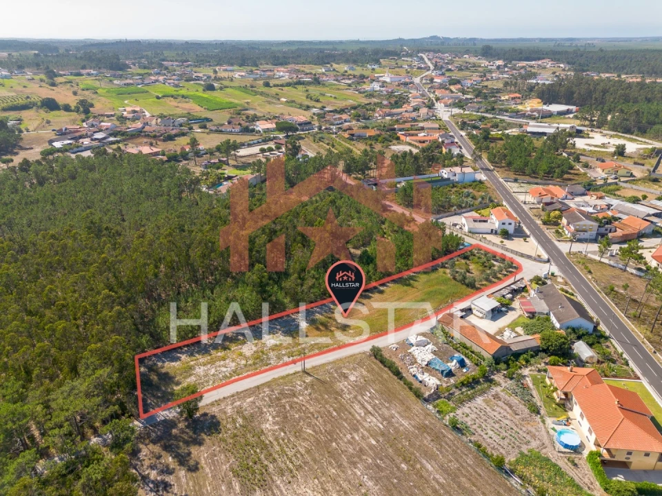 Terreno para Venda em Monte Redondo e Carreira Foto 1