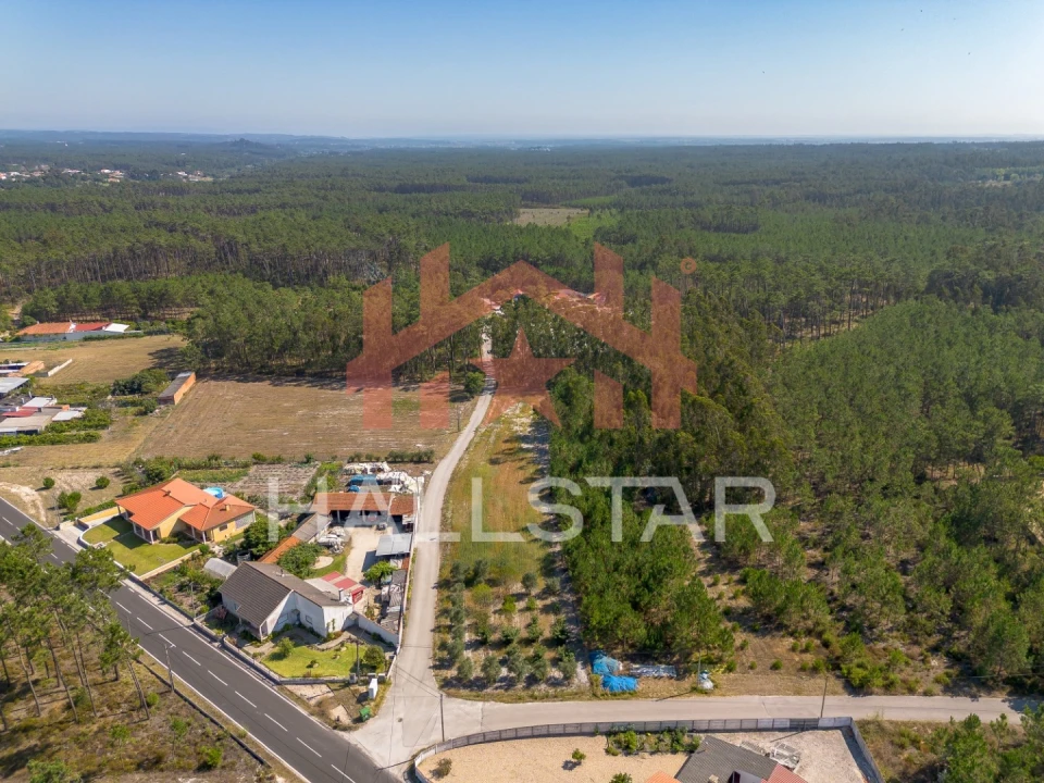Terreno para Venda em Monte Redondo e Carreira Foto 16