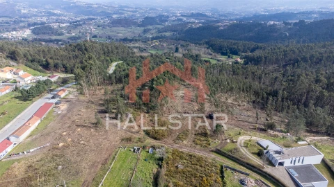 Terreno Agricola ou Rústico para Venda em Croca