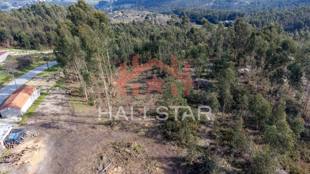 Terreno Agricola ou Rústico para Venda em Croca Foto 15