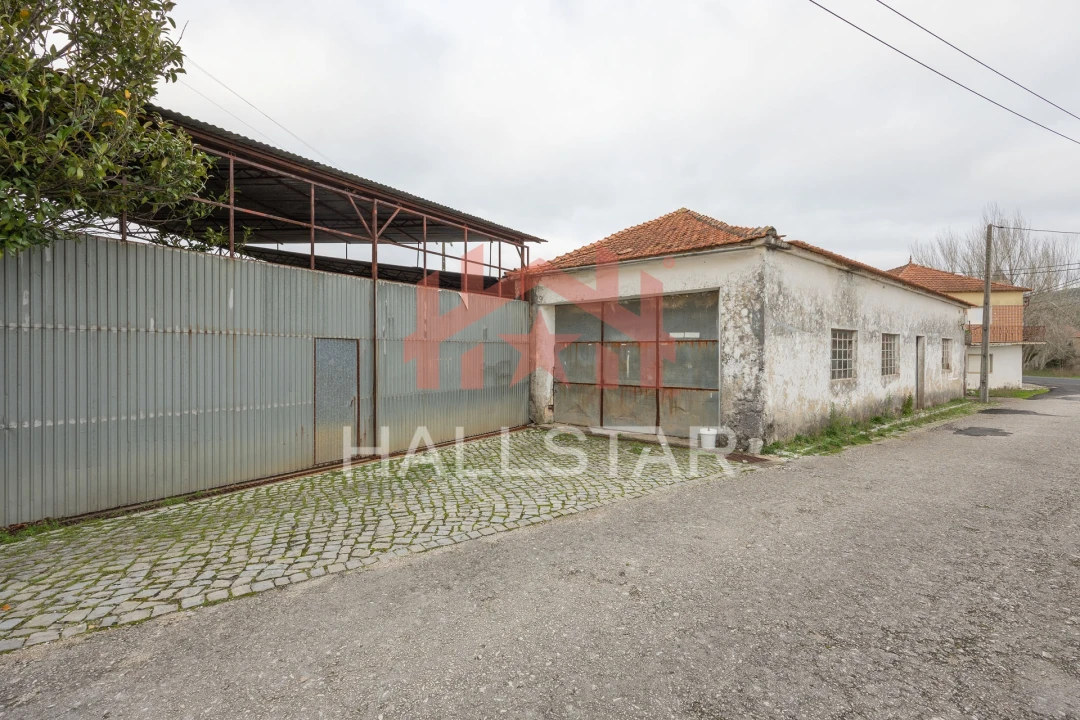 Moradia T3 para Venda em Pedreiras Foto 4