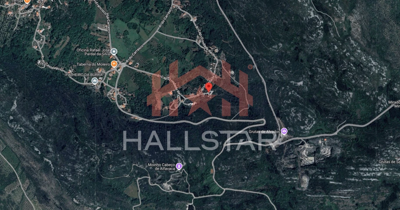 Moradia T7 para Venda em Alvados e Alcaria Planta 5