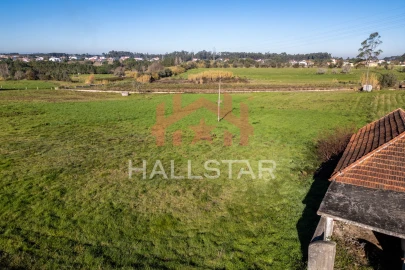 Terreno Agricola ou Rústico para Arrendamento em Maceira