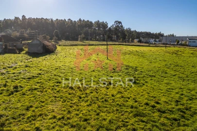 Terreno Agricola ou Rústico para Arrendamento em Maceira
