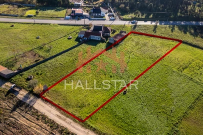 Terreno Agricola ou Rústico para Arrendamento em Maceira