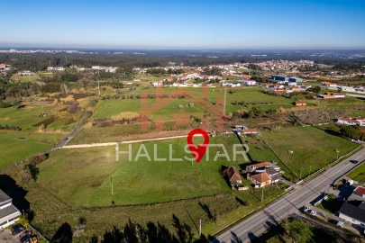 Terreno Agricola ou Rústico para Arrendamento em Maceira