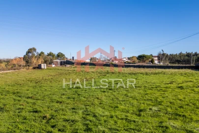 Terreno Agricola ou Rústico para Arrendamento em Maceira