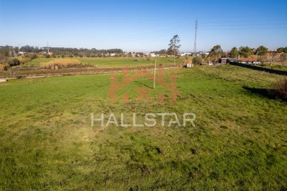 Terreno Agricola ou Rústico para Arrendamento em Maceira