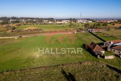 Terreno Agricola ou Rústico para Arrendamento em Maceira