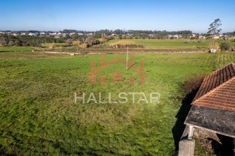 Terreno Agricola ou Rústico para Arrendamento em Maceira Foto 4