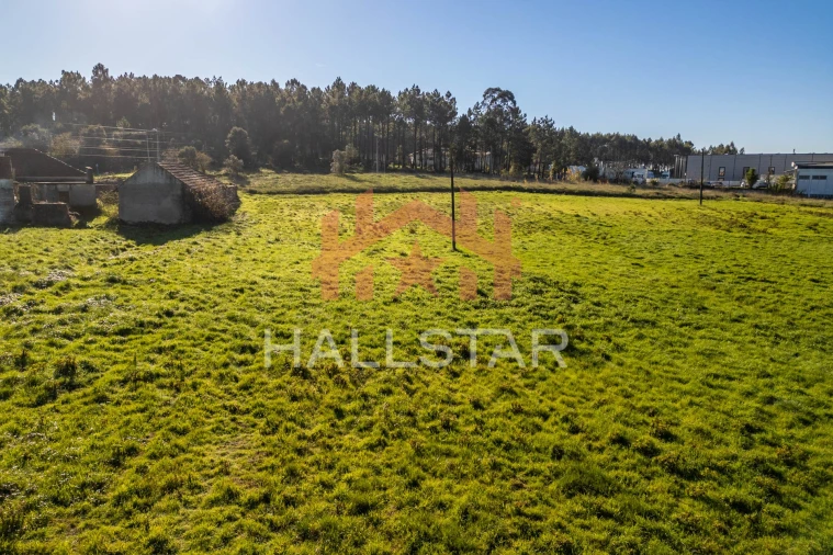 Terreno Agricola ou Rústico para Arrendamento em Maceira Foto 8