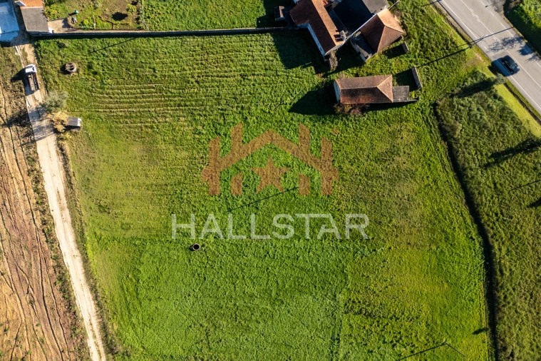 Terreno Agricola ou Rústico para Arrendamento em Maceira Foto 16