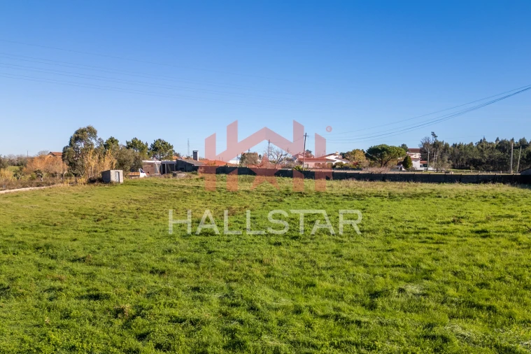 Terreno Agricola ou Rústico para Arrendamento em Maceira Foto 6