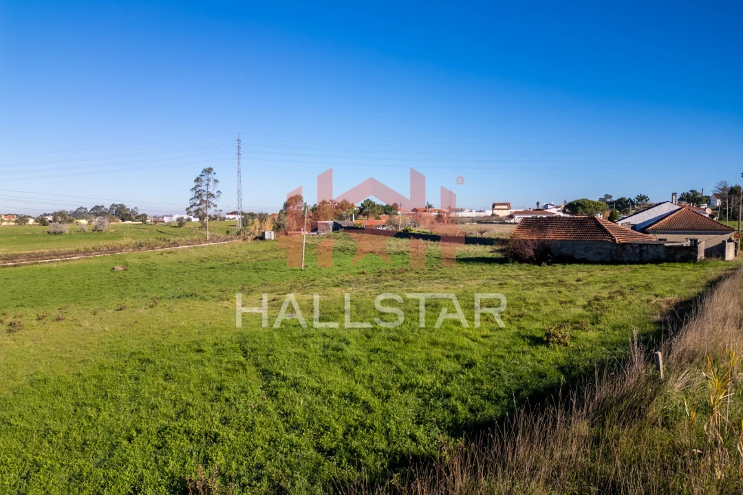 Terreno Agricola ou Rústico para Arrendamento em Maceira Foto 5