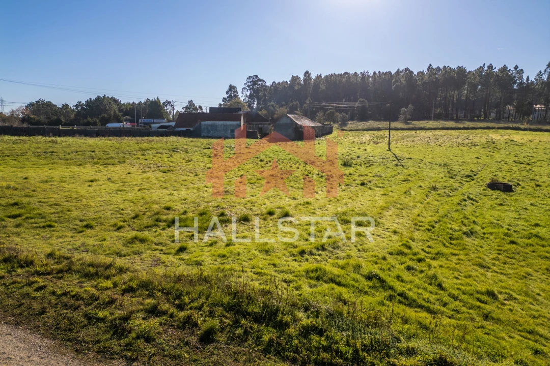 Terreno Agricola ou Rústico para Arrendamento em Maceira Foto 7