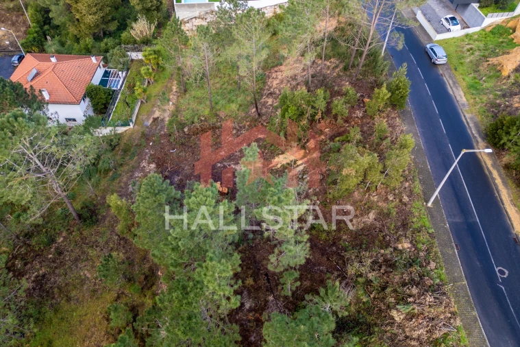 Terreno para Venda em Leiria, Pousos, Barreira e Cortes Foto 10