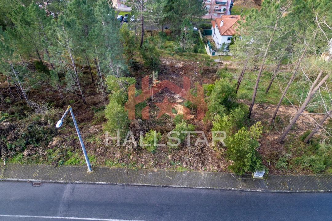 Terreno para Venda em Leiria, Pousos, Barreira e Cortes Foto 11
