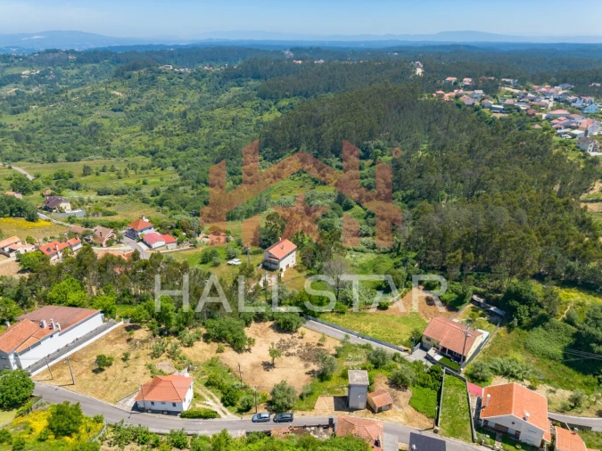 Terreno para Venda em Colmeias e Memória Foto 13
