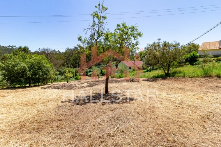 Terreno para Venda em Colmeias e Memória Foto 22