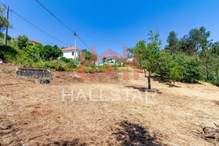 Terreno para Venda em Colmeias e Memória Foto 19
