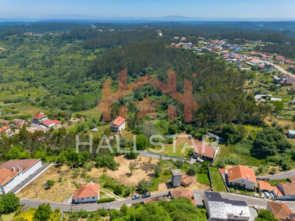 Terreno para Venda em Colmeias e Memória Foto 12