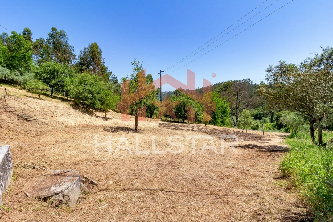 Terreno para Venda em Colmeias e Memória Foto 18