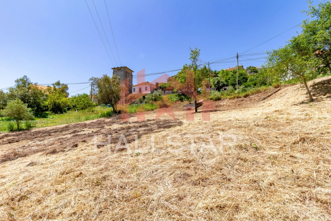 Terreno para Venda em Colmeias e Memória Foto 21
