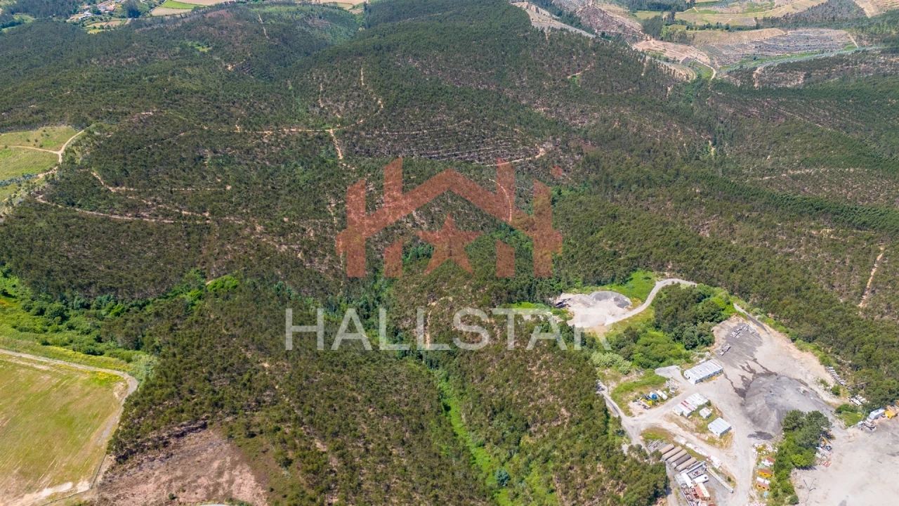 Terreno Agricola ou Rústico para Venda em Covelas Foto 6
