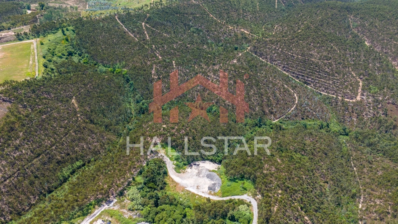 Terreno Agricola ou Rústico para Venda em Covelas Foto 21