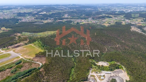 Terreno Agricola ou Rústico para Venda em Covelas