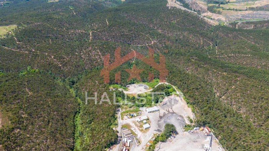 Terreno Agricola ou Rústico para Venda em Covelas Foto 3